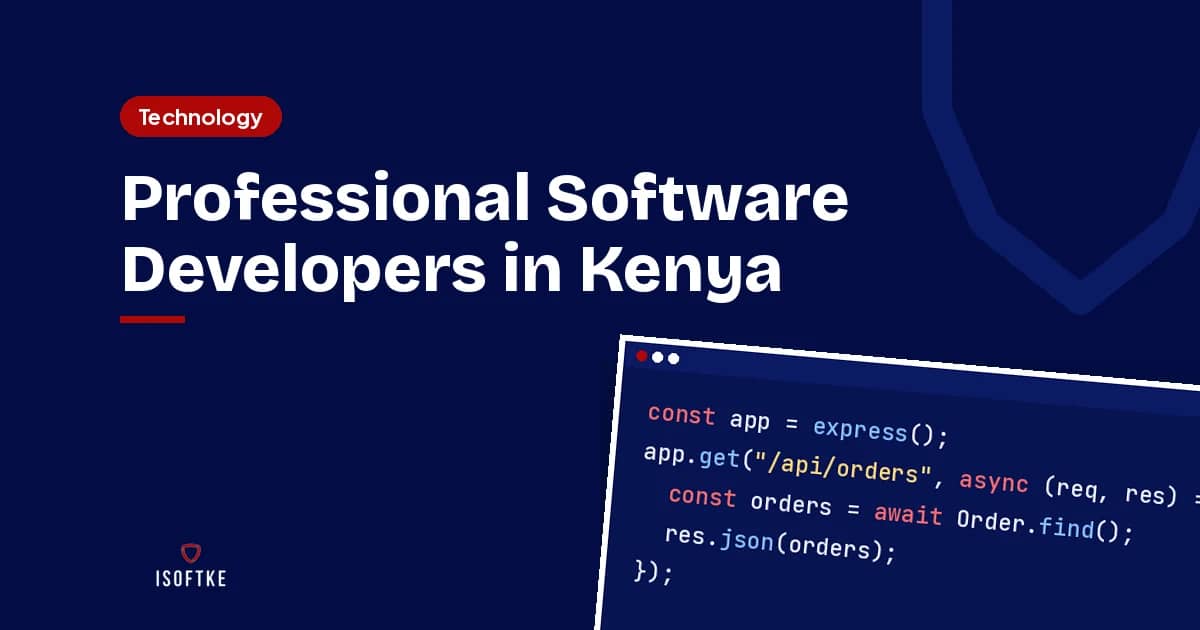 Professional Software Developers in Kenya