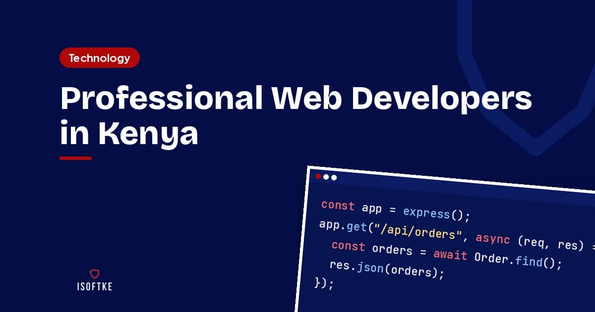 Professional Web Developers in Kenya